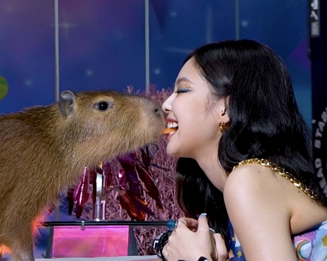 Прикольные капибары