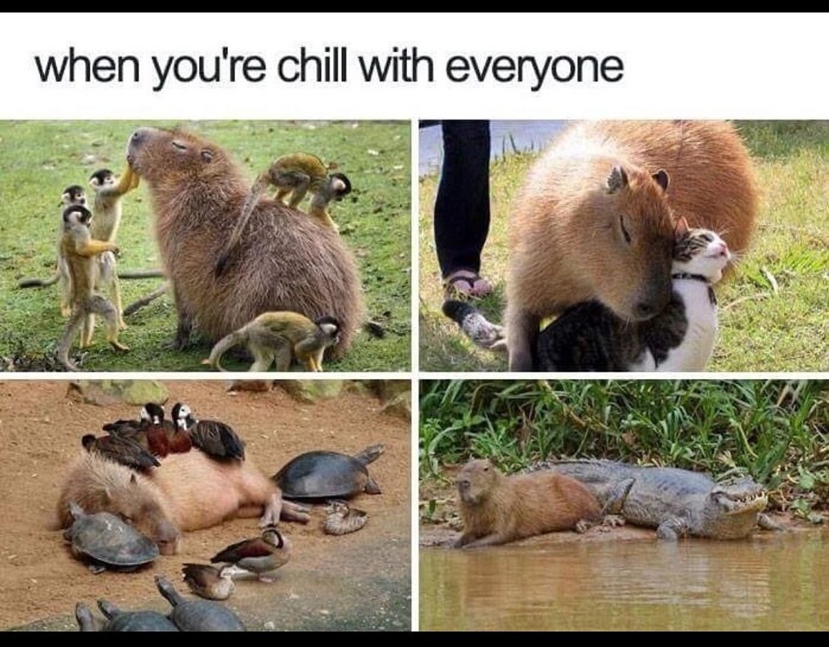 Капибара в ванне