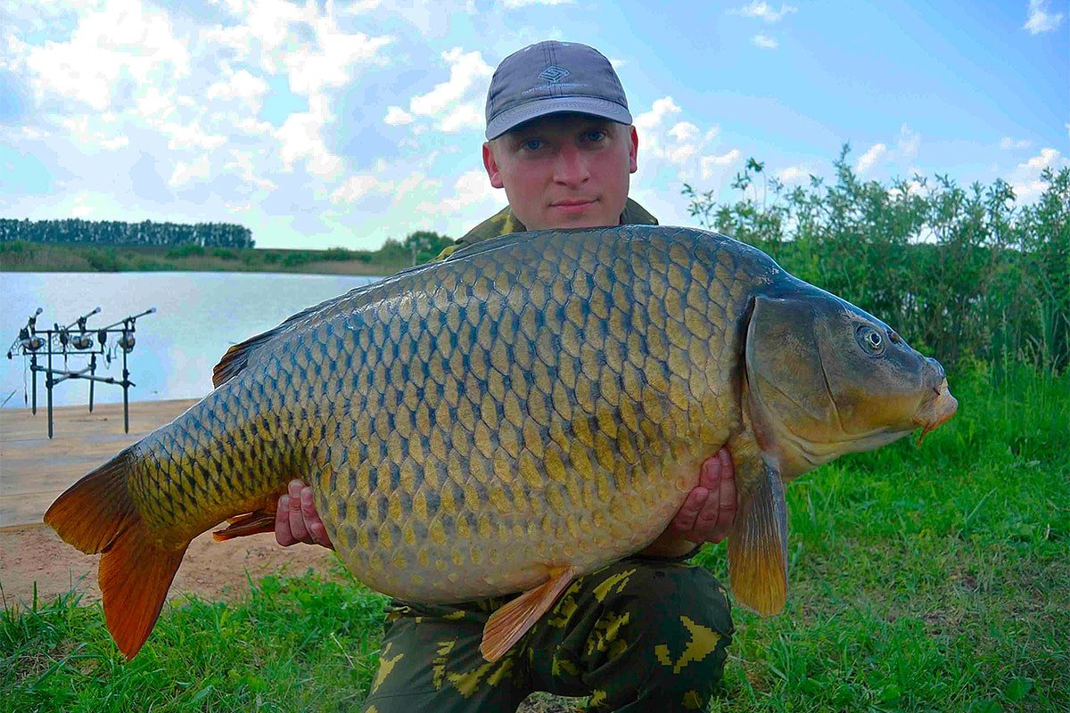 Прикормка Карп карась сазан