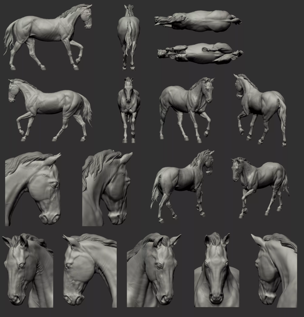 Лошадь референс для 3д