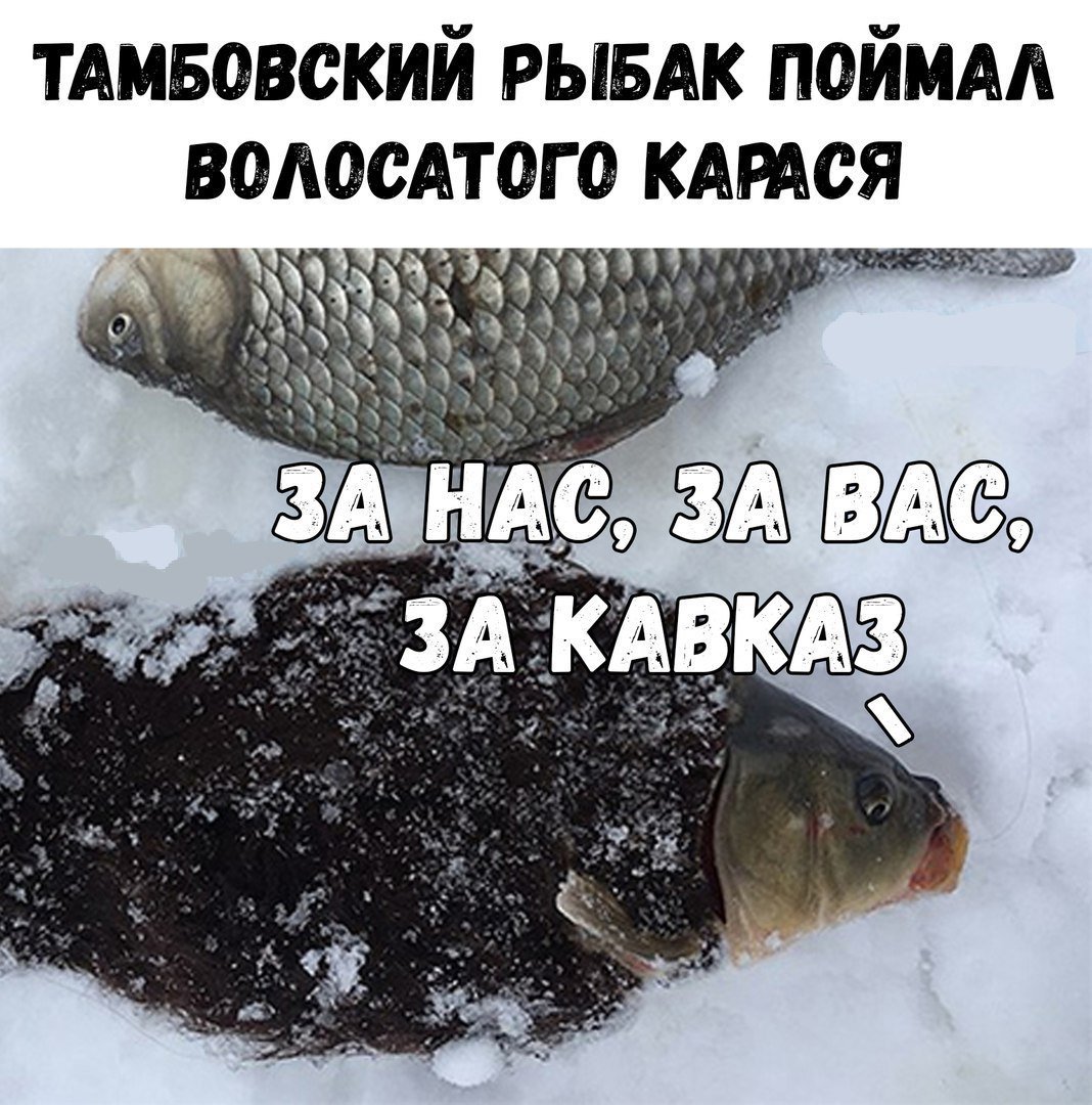 Мировой рекорд Карп 135кг