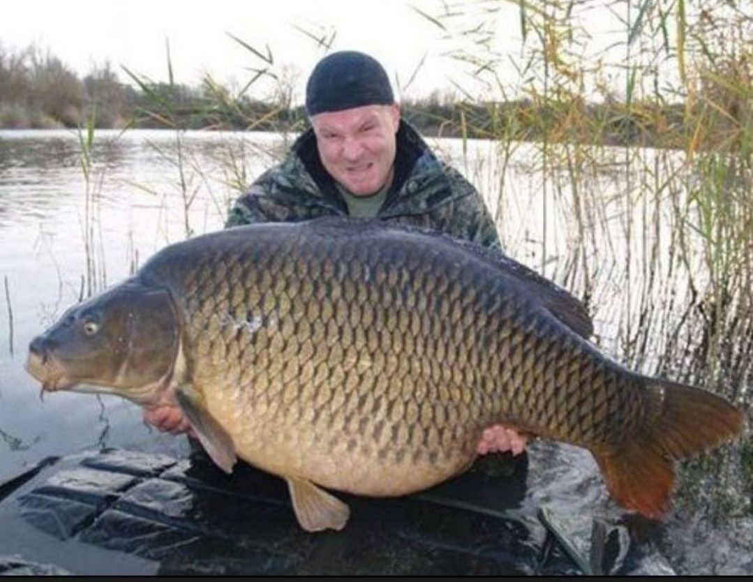 Мировой рекорд лещ