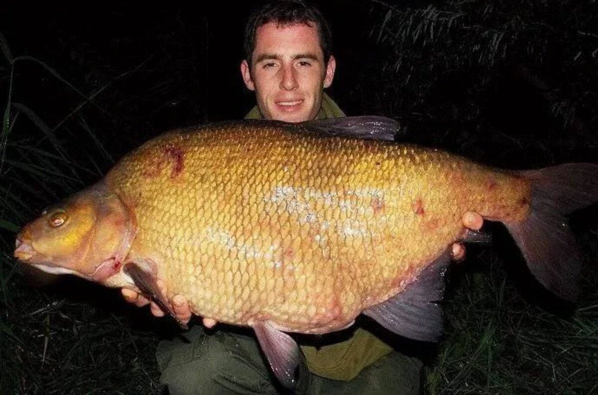 УГАРНАЯ рыба