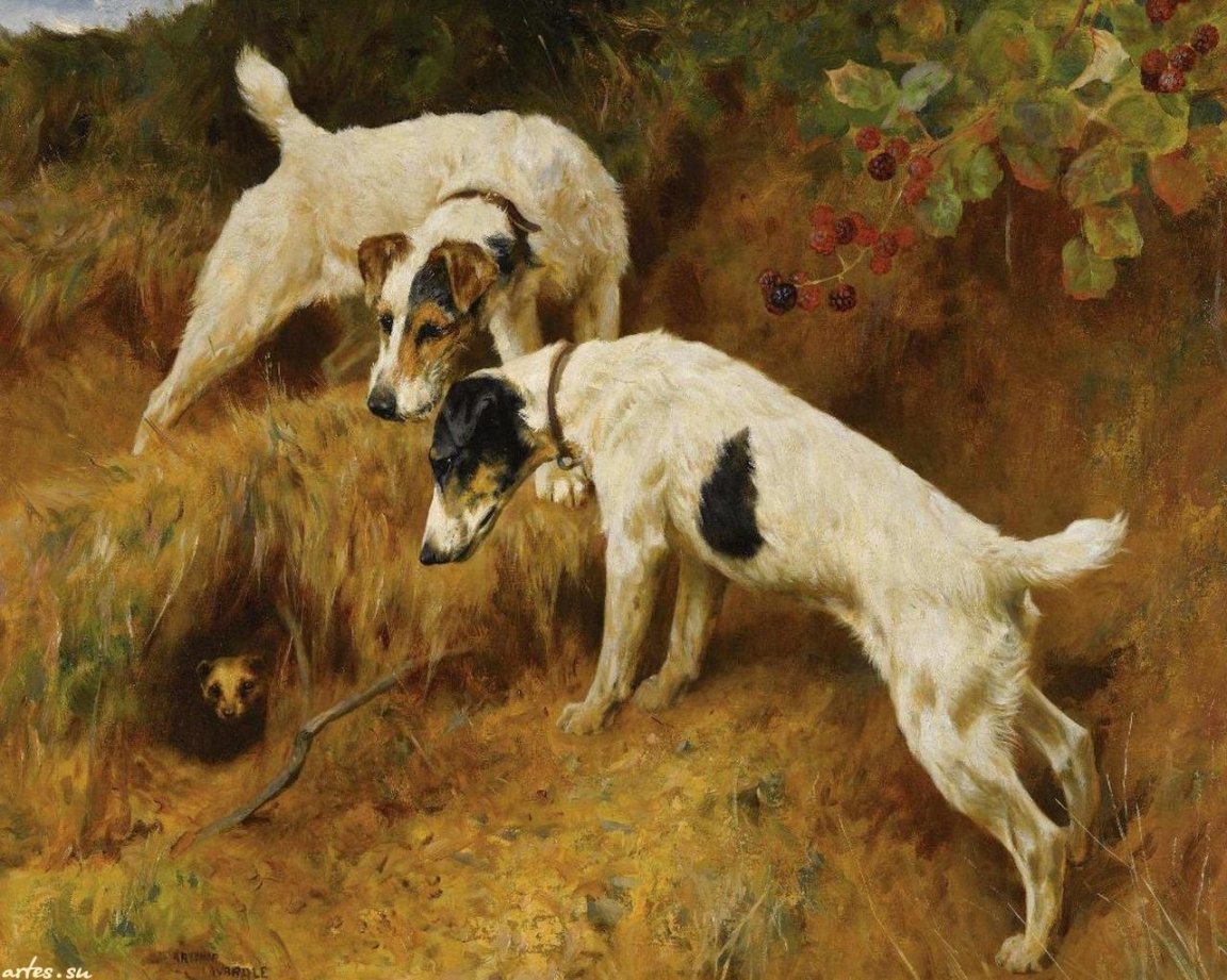 Arthur Wardle картины