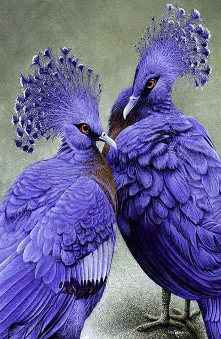 Сиреневая птичка