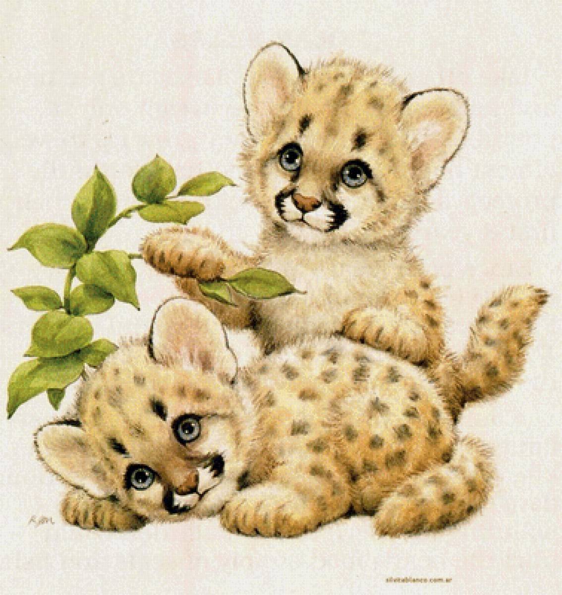 Гепард на белом фоне