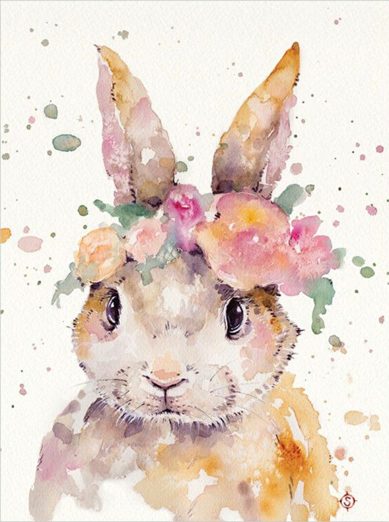 Переднеазиатский леопард на белом фоне