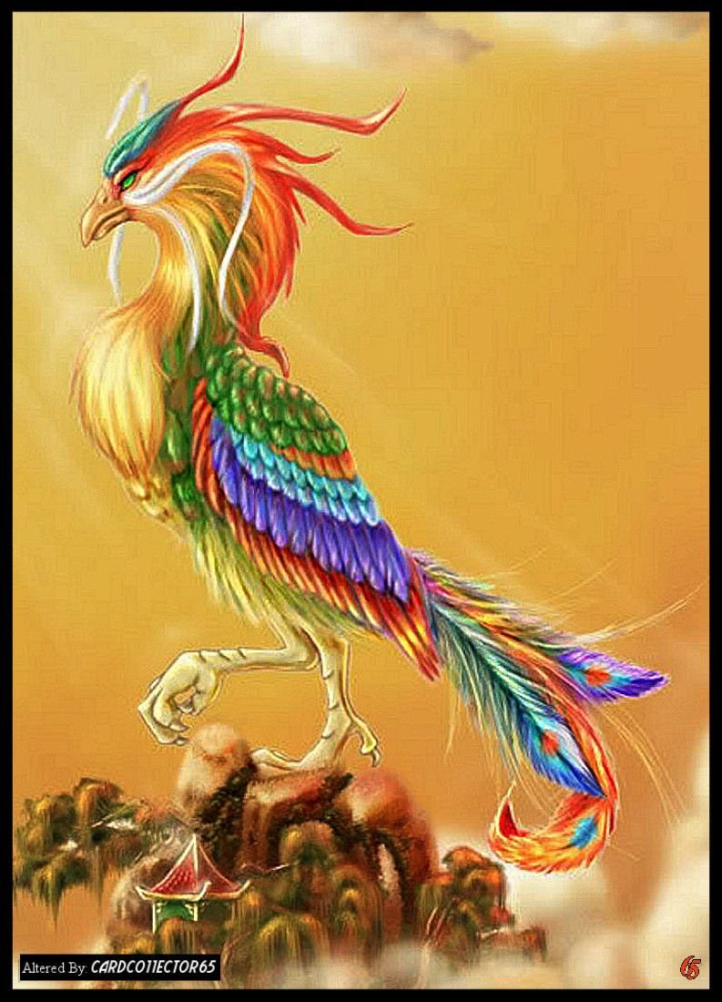 Лисьи лапы фенек