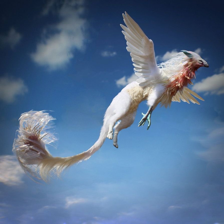 Фоукс Гарри Поттер