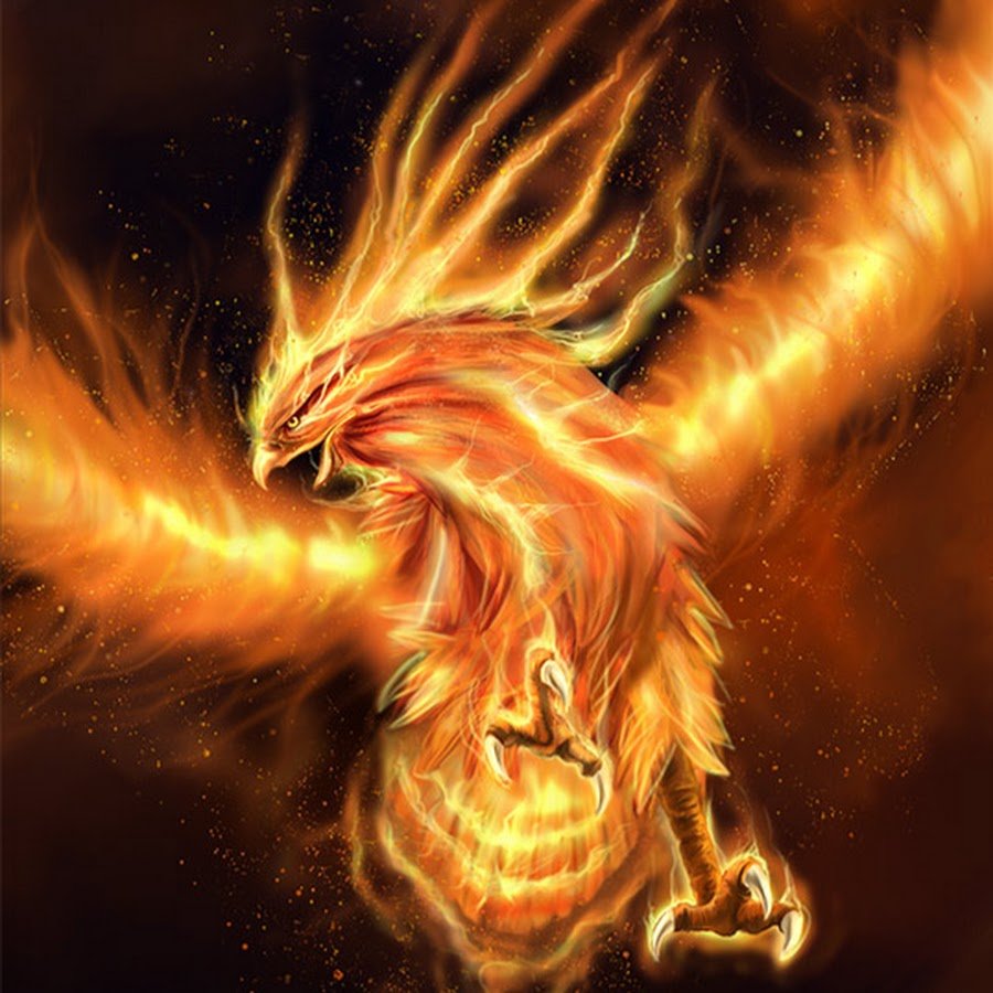 Волшебная птица арт