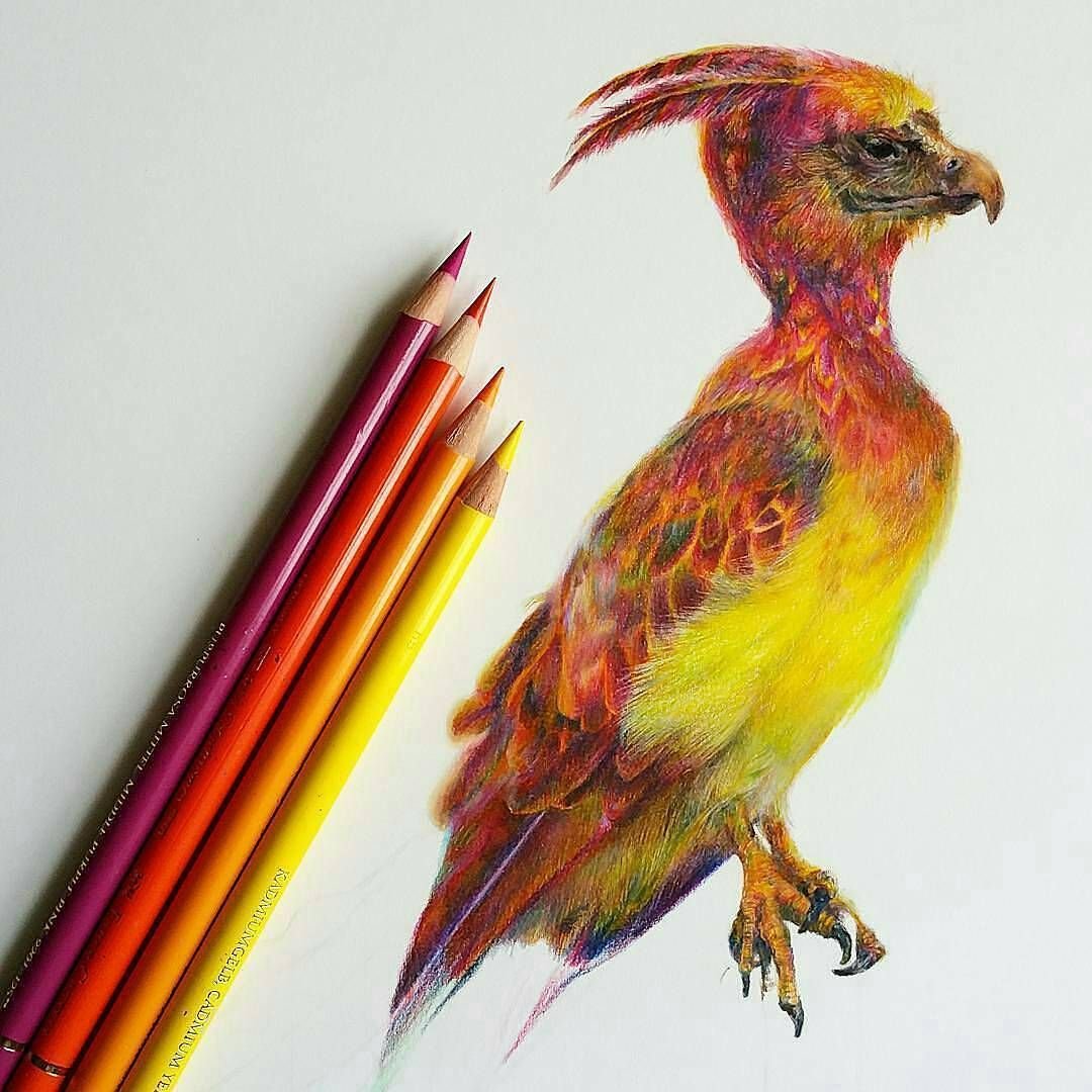 Мифические существа арт Феникс