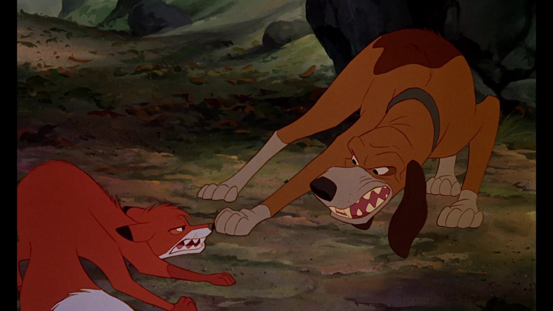 The fox and the bear. Лис и охотничий пес 1981.