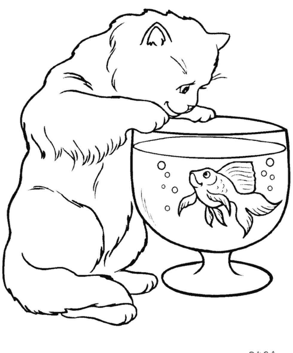 Спящие рыси рисунок