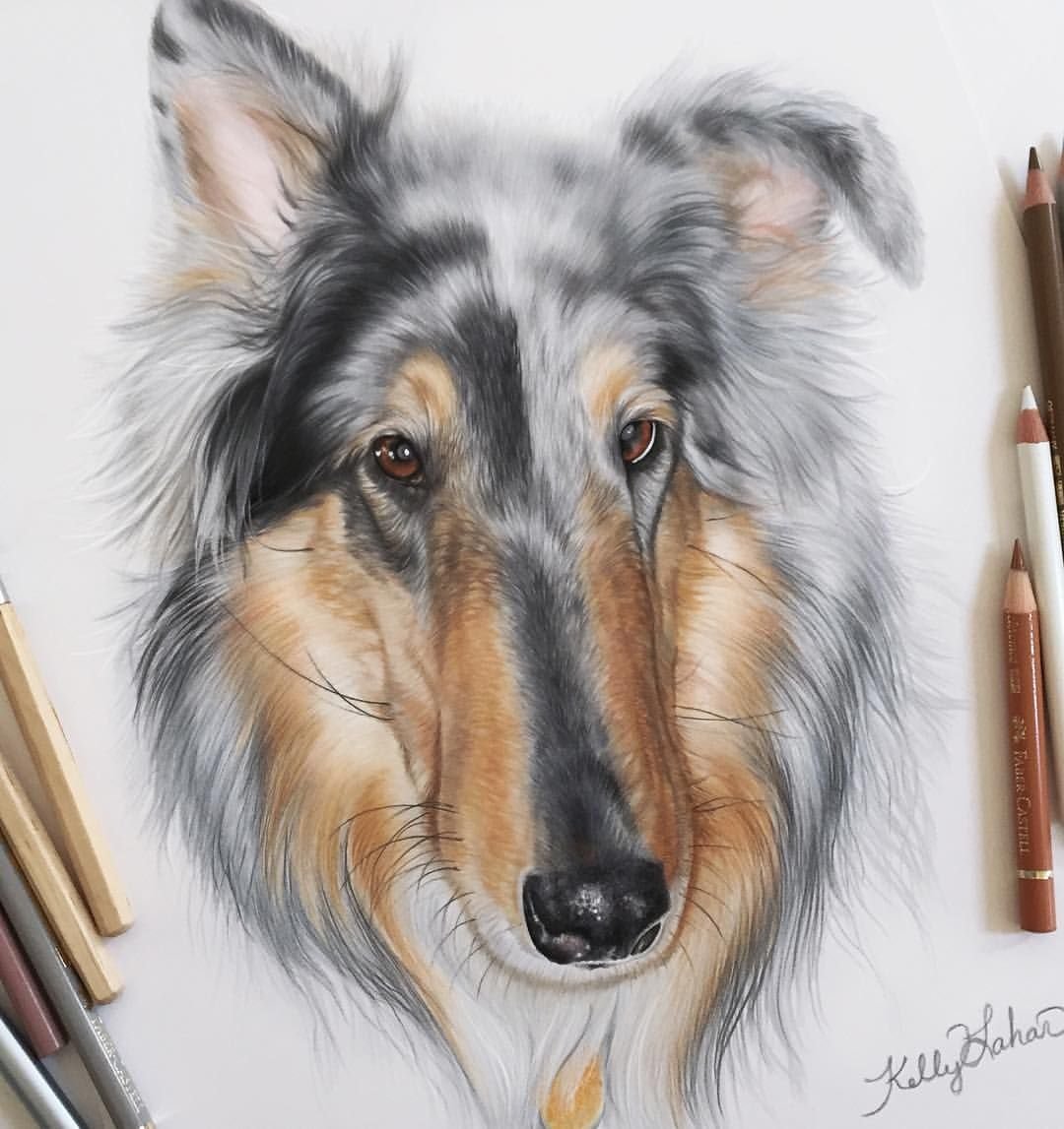 Келли собака из Белореченска дом 104