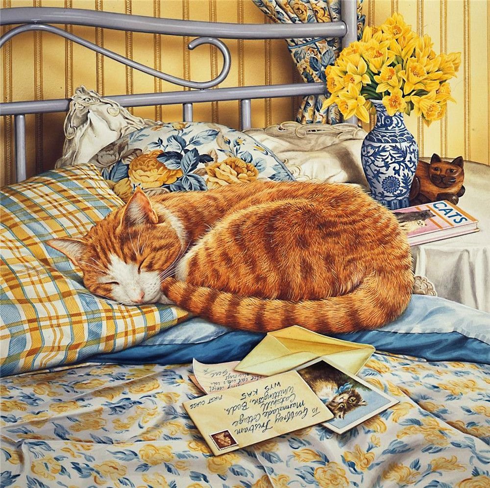 Толстый кот раскраска