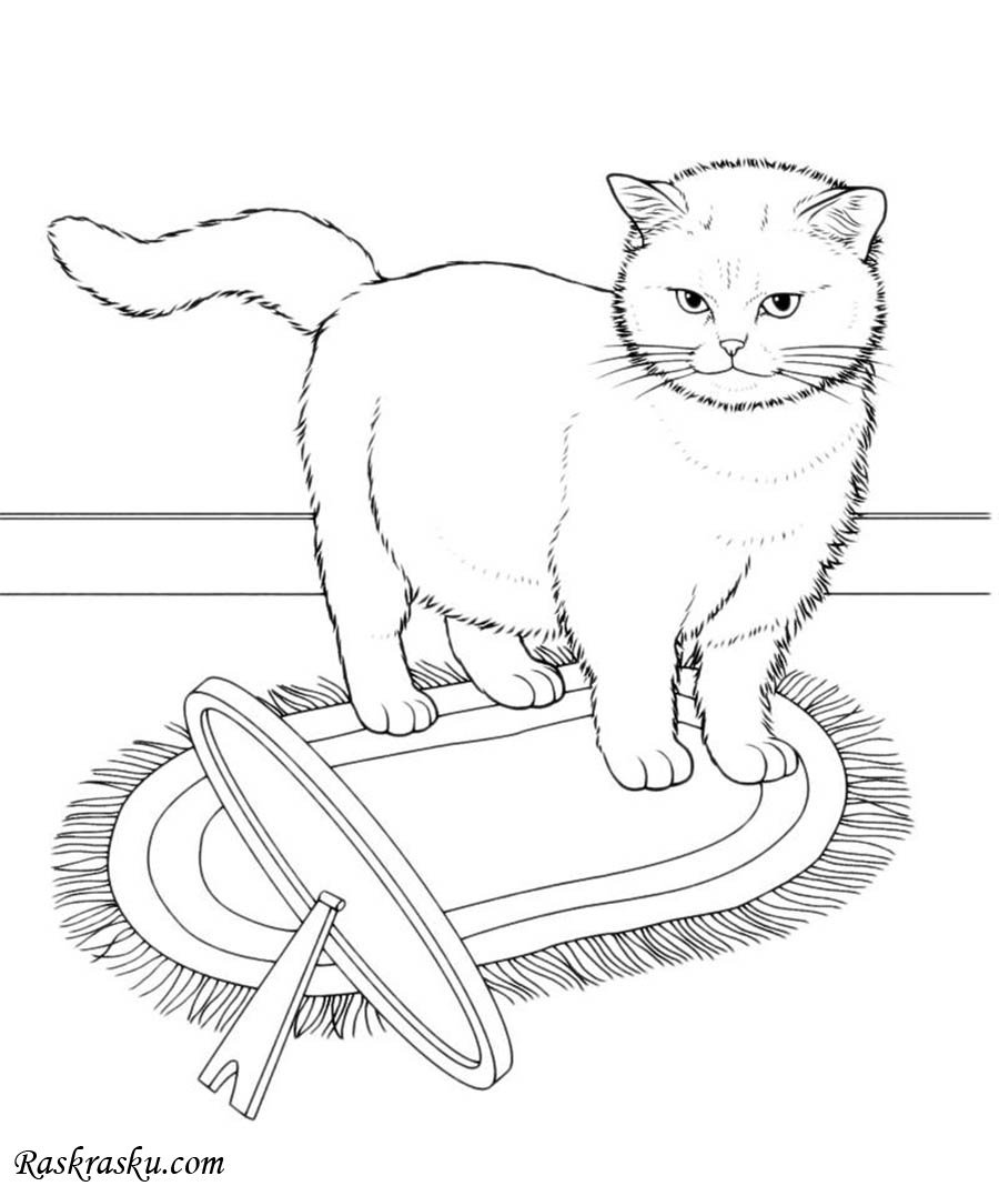 Детские рисунки котов