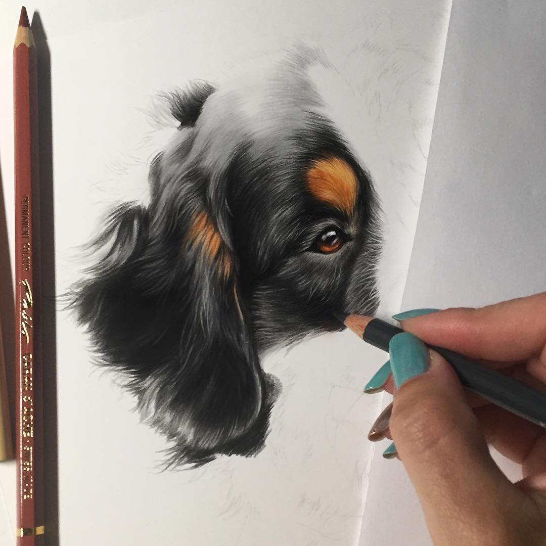 Фотосет с собакой