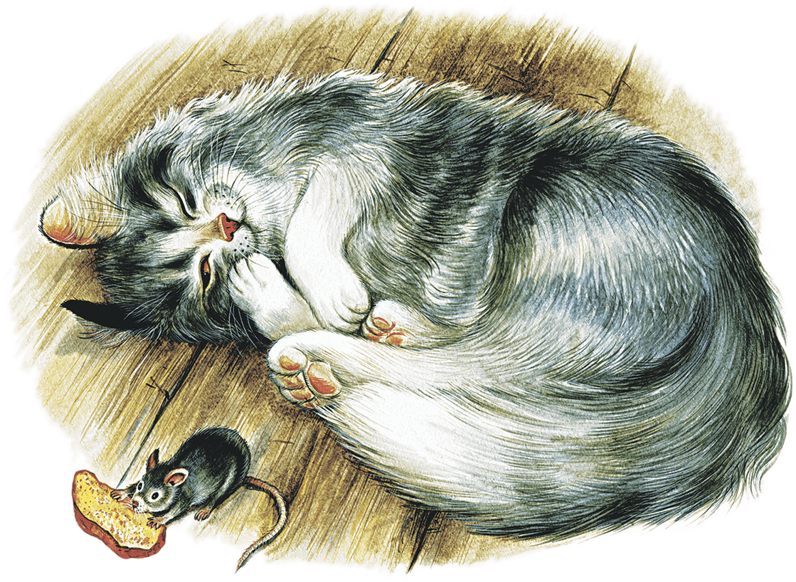 Раскраска домашний питомец