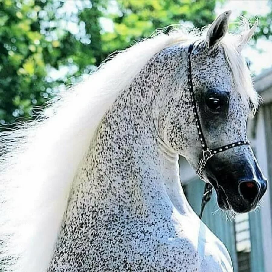 Металлические скульптуры