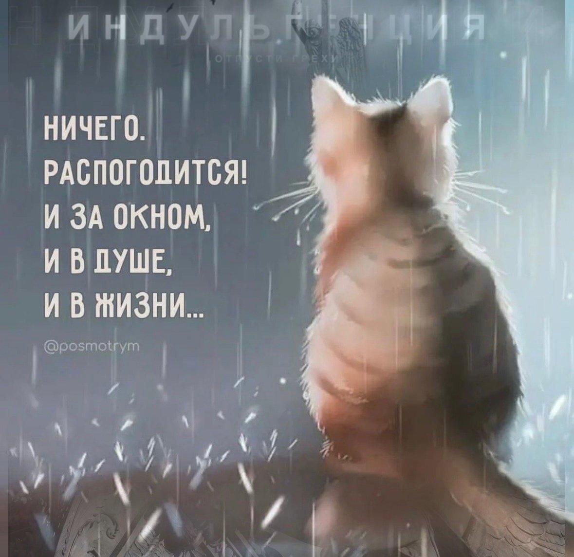 Одинокий котенок