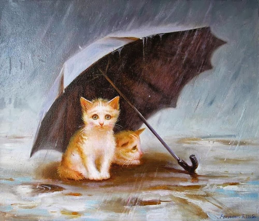 Кошка под дождем