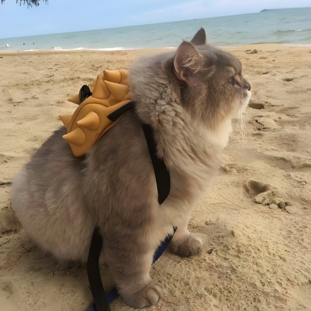 Котик путешественник с рюкзаком