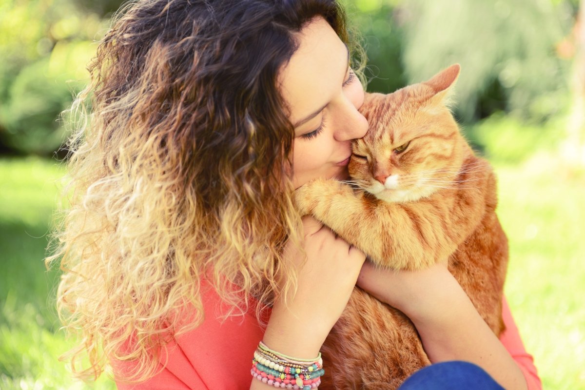 Кот с битой