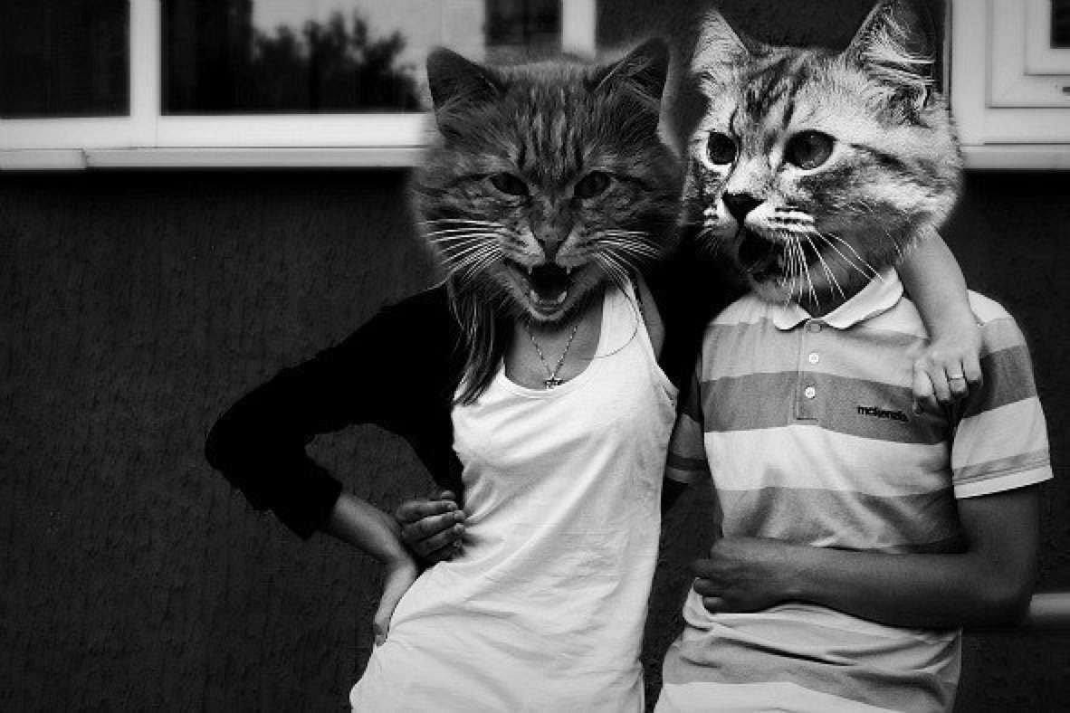 Девушка с головой кошки