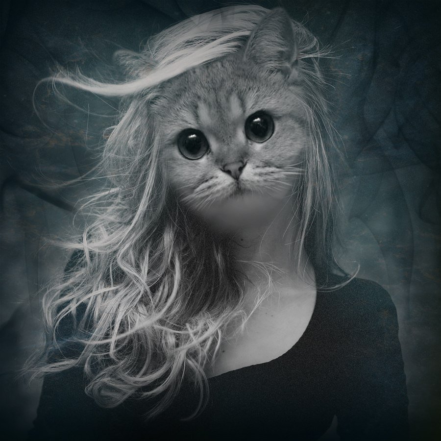 Девушка с кошачьими глазами