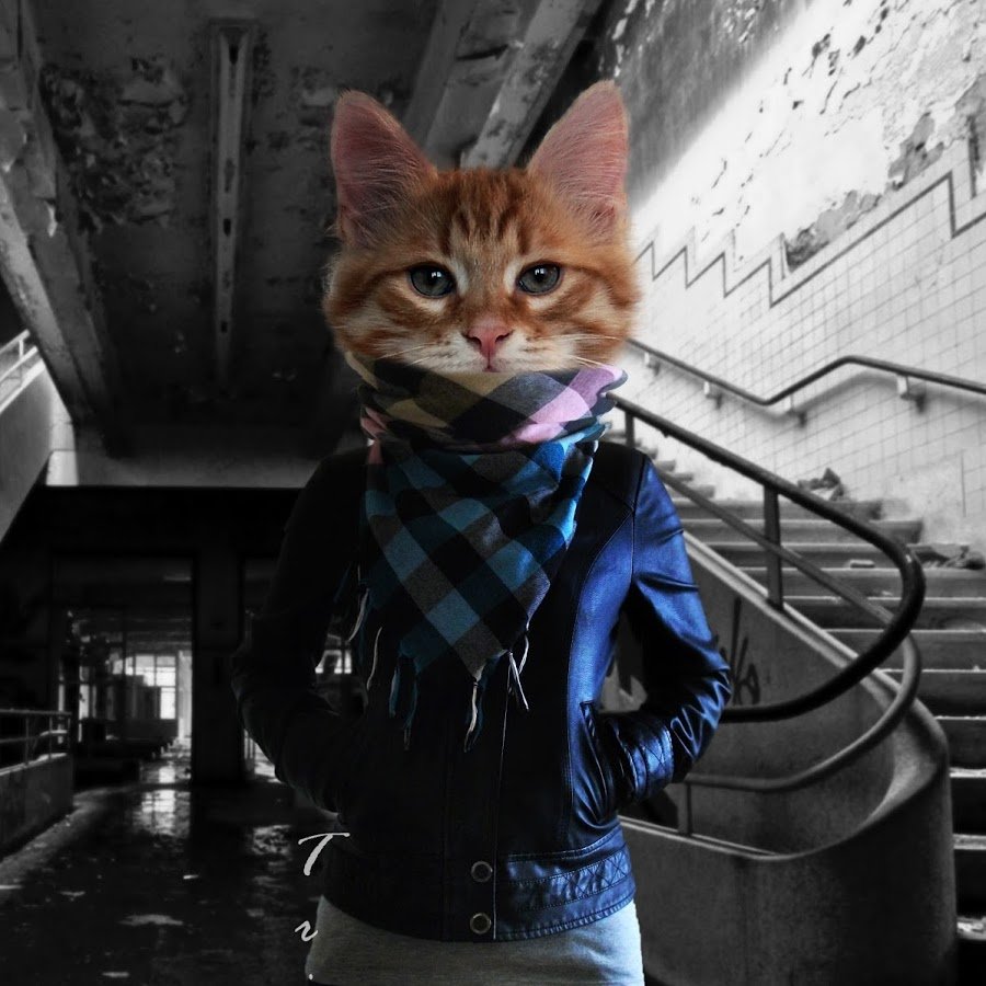 Гримм пантера