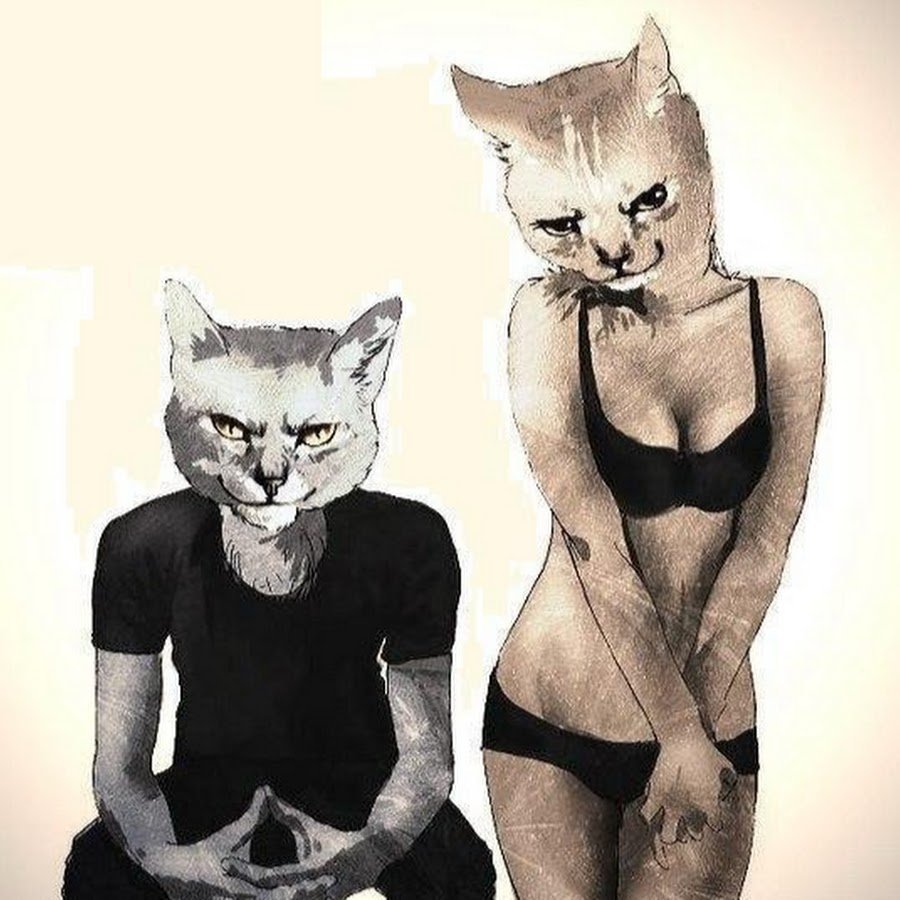 Идеи для фотосессии с котом