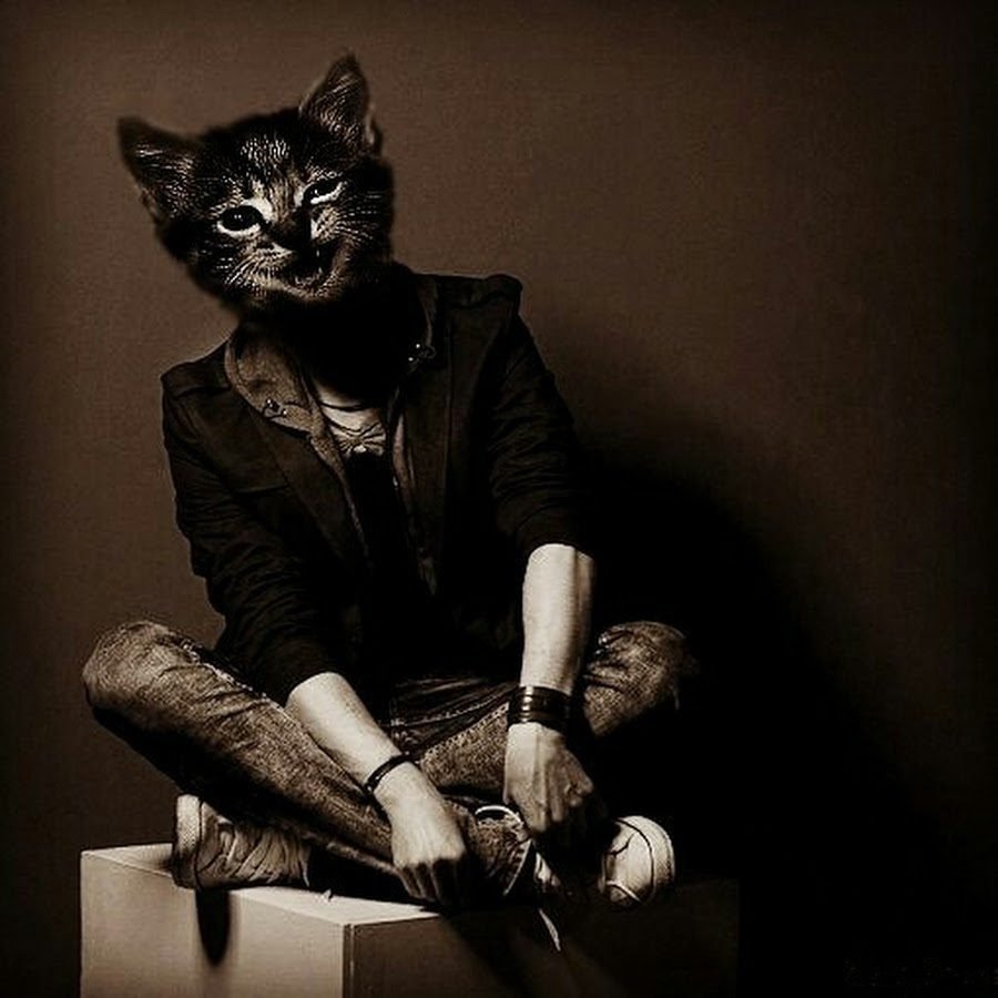 Человек с кошачьей головой
