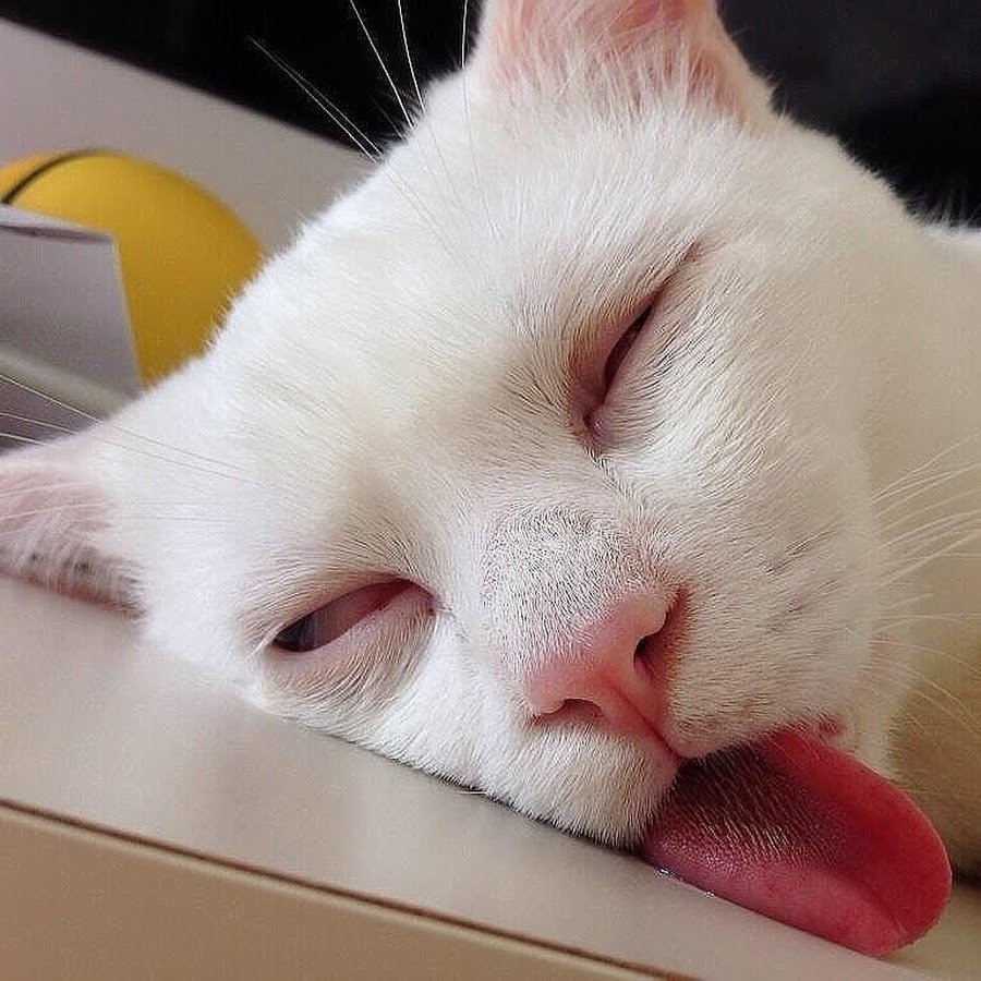 Доброе сонное утро