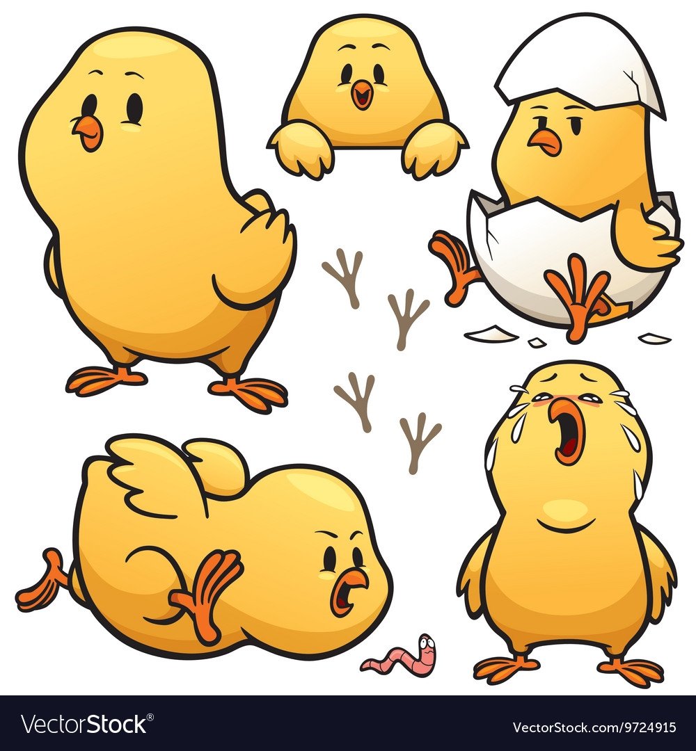 Милый цыпленок вектор