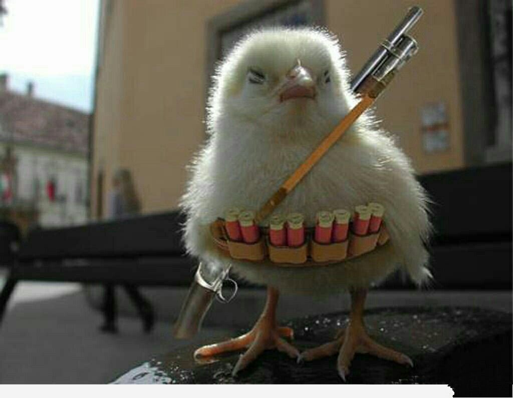 Цыпленок с автоматом