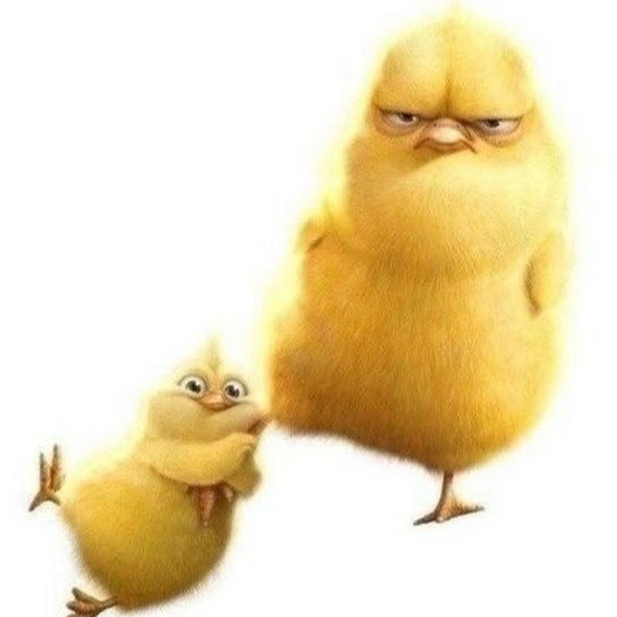 Бунт ушастых цыпленок