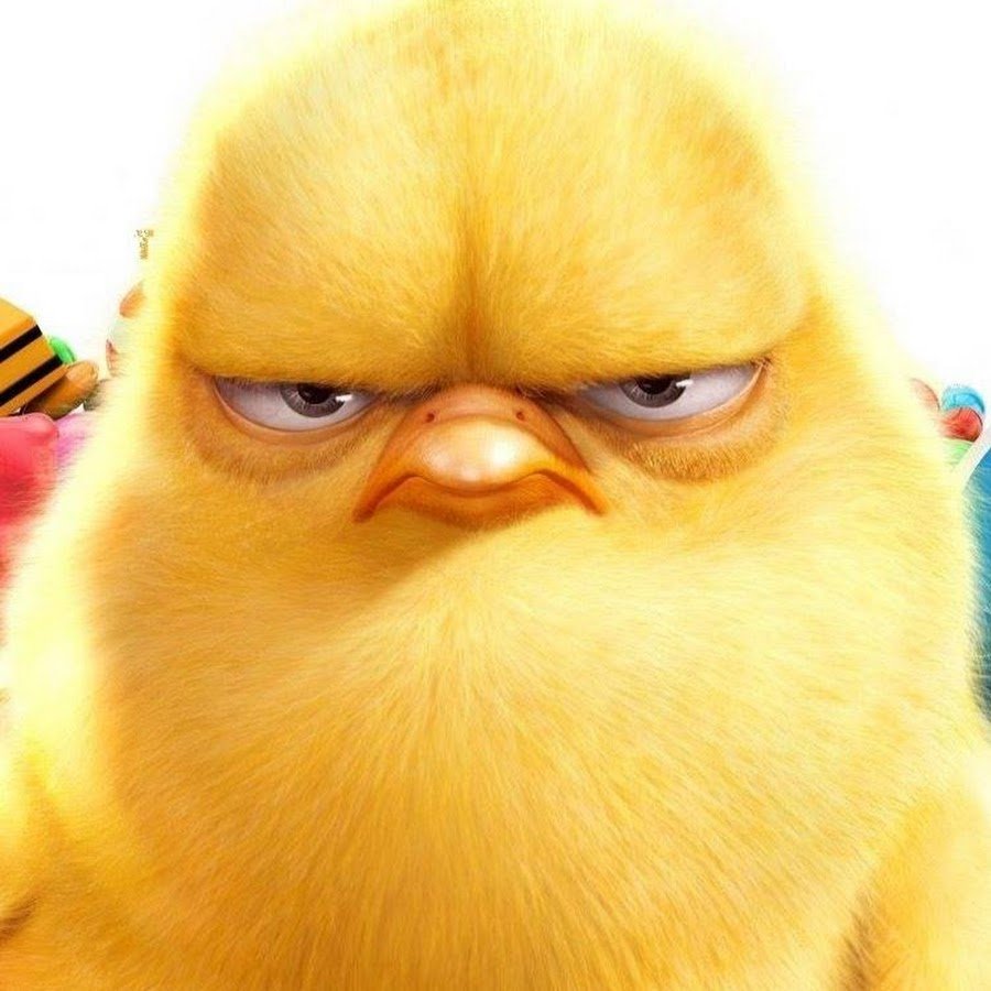 Злой цыпленок