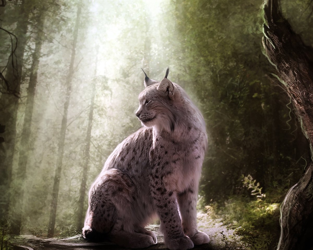 Скайград Рысь