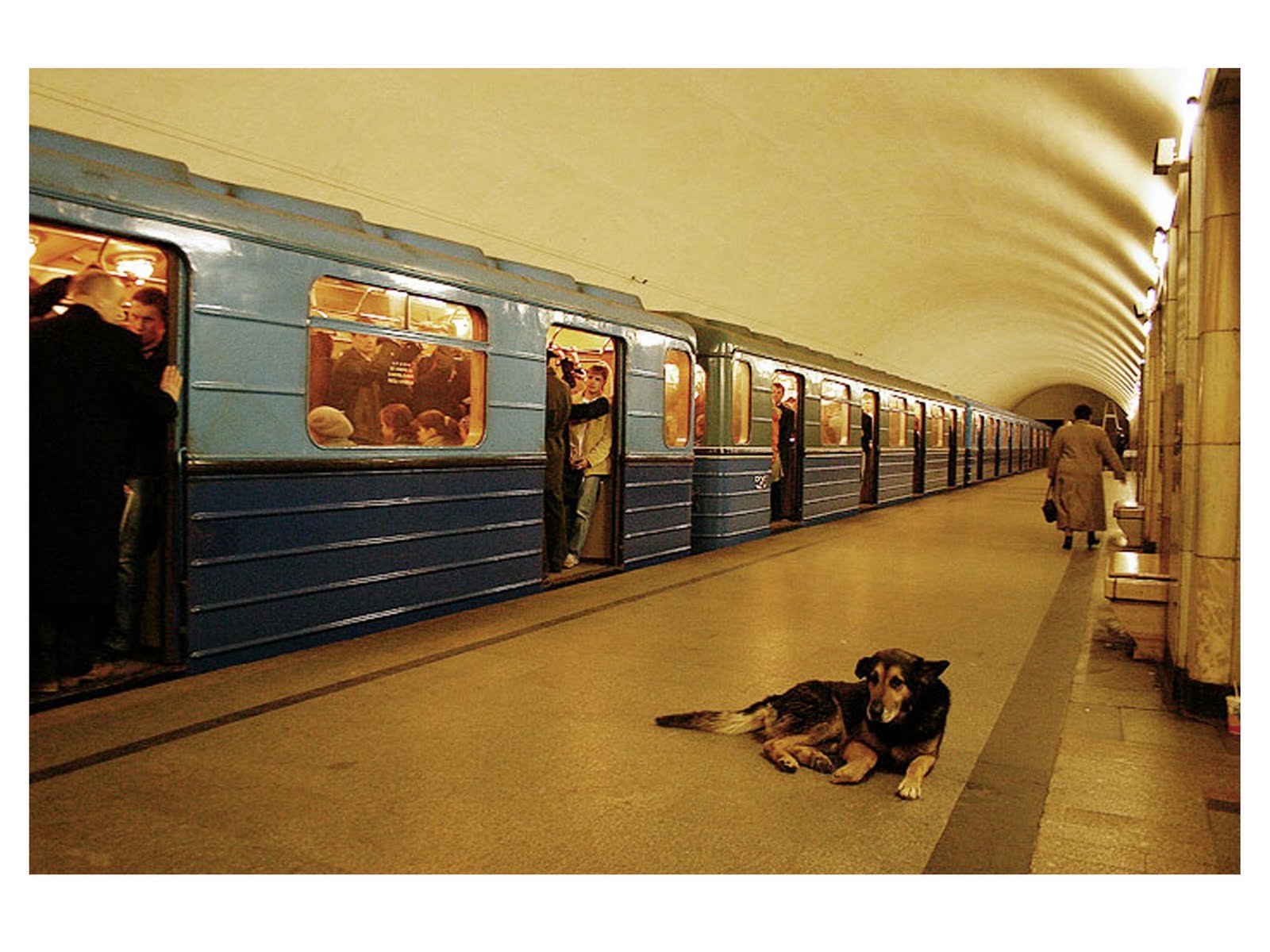 Китай город метро в москве фото