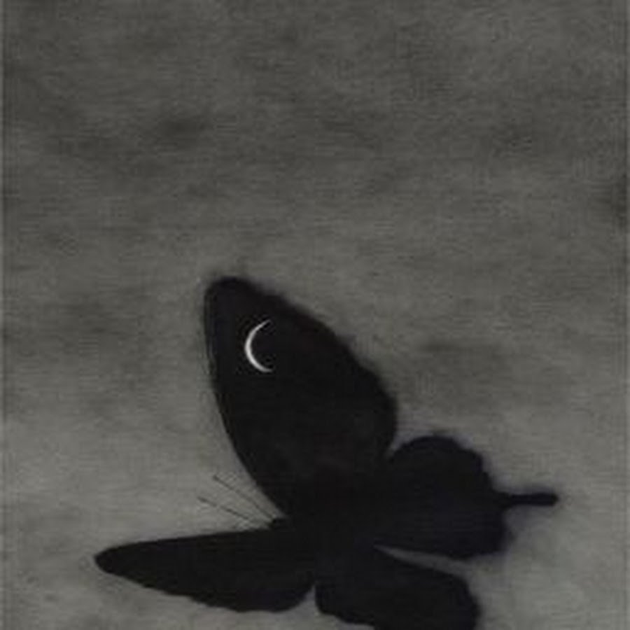 Грустная бабочка