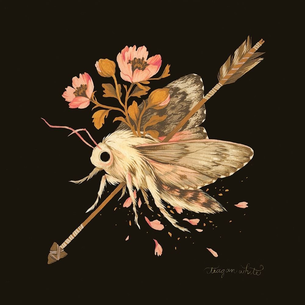 Мотылек арт