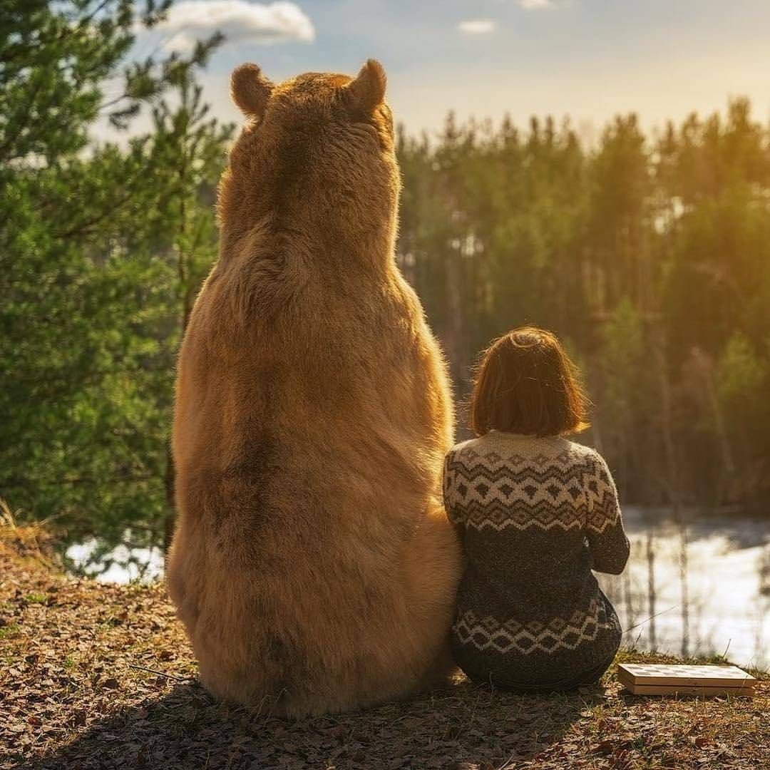 Добрый медведь