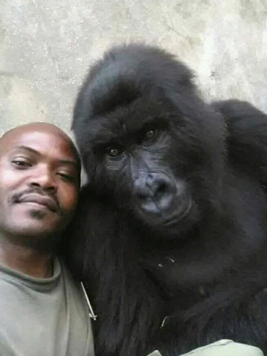 Белобрысая обезьяна