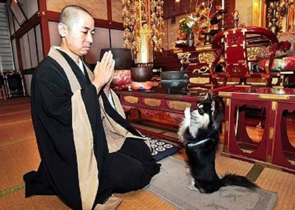 Собака в буддизме