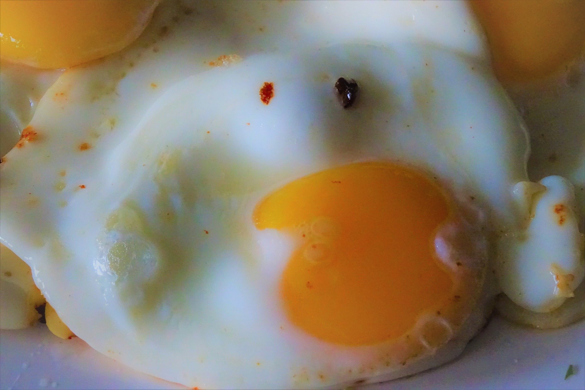 Почему мутные белки яиц. Белок из яйца. Яичница Белочка.. Яичный белок как выглядит.