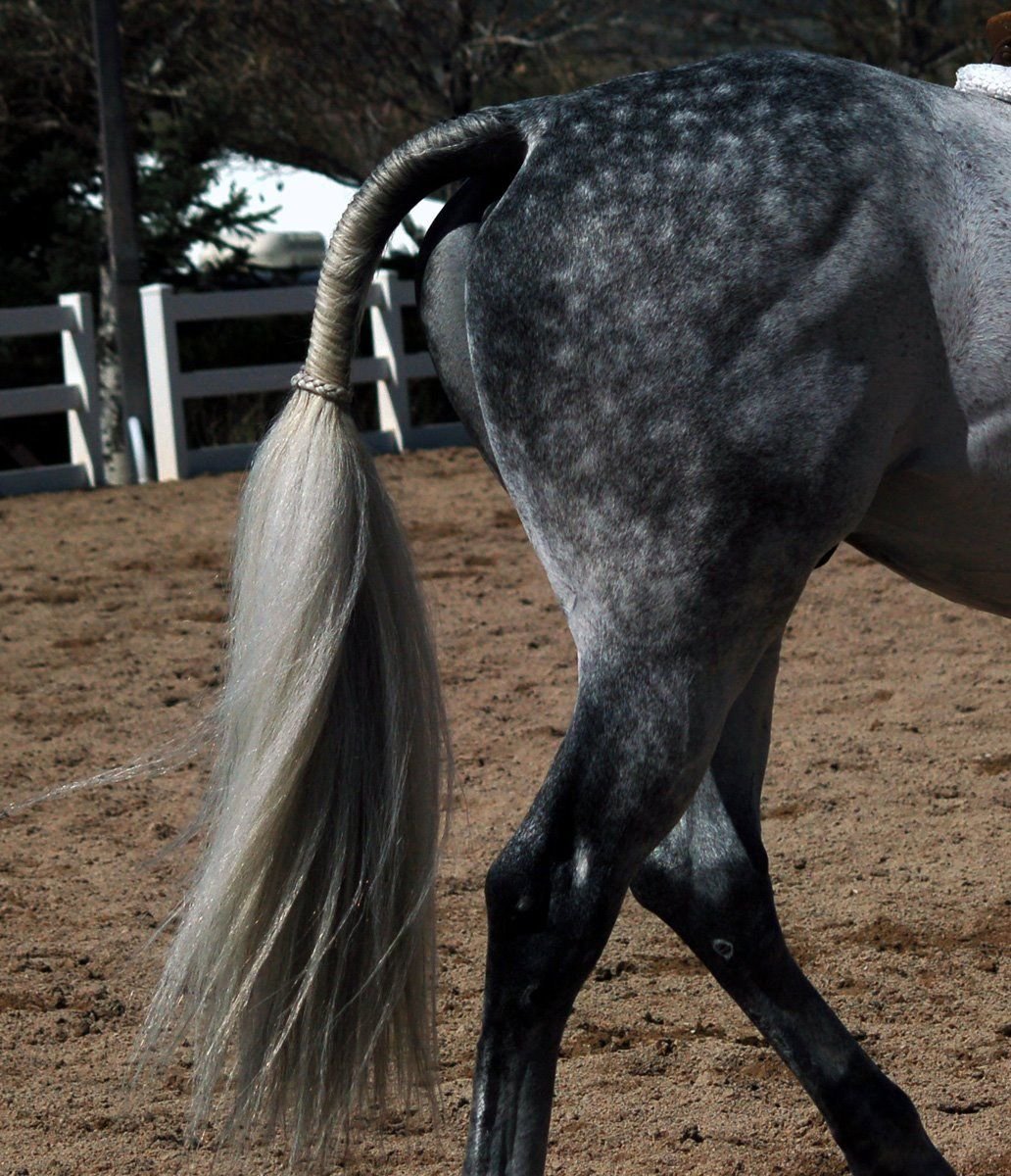 Заплетенный хвост лошади