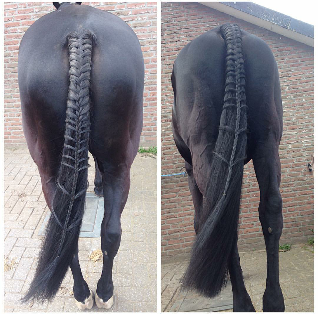 Конь красивая фигура