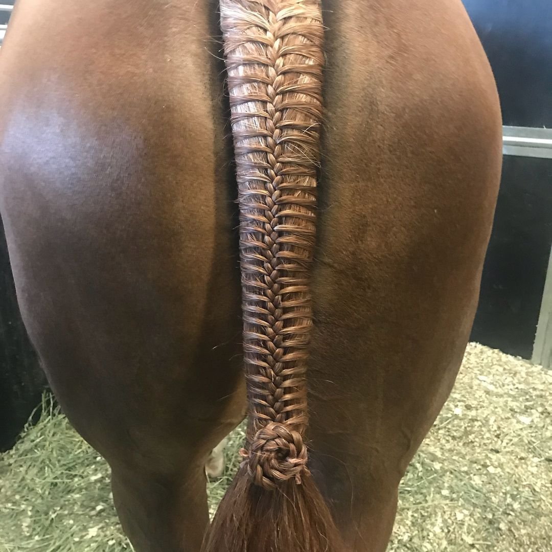 У лошадей в хвосте волосы