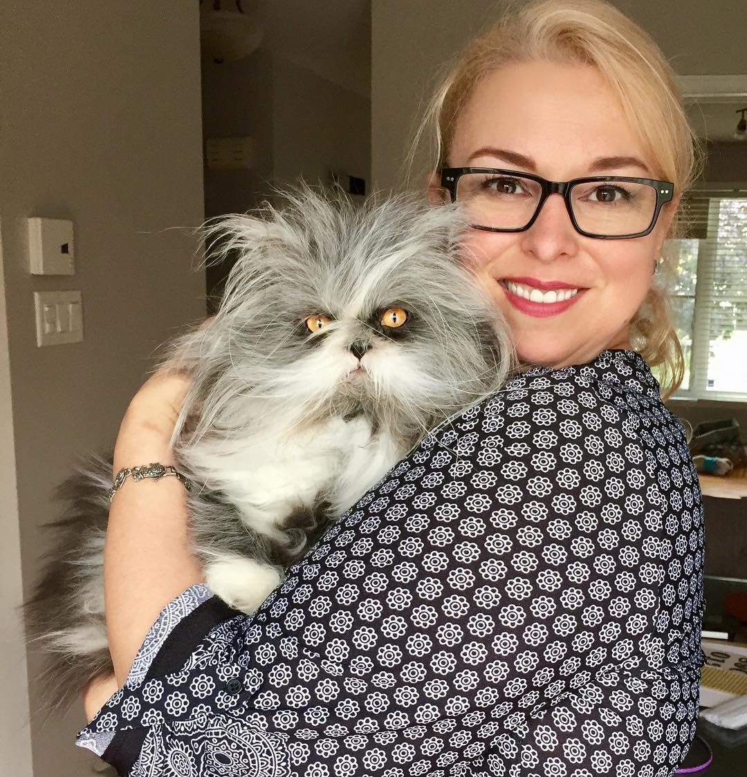 Канадский кот Атчум