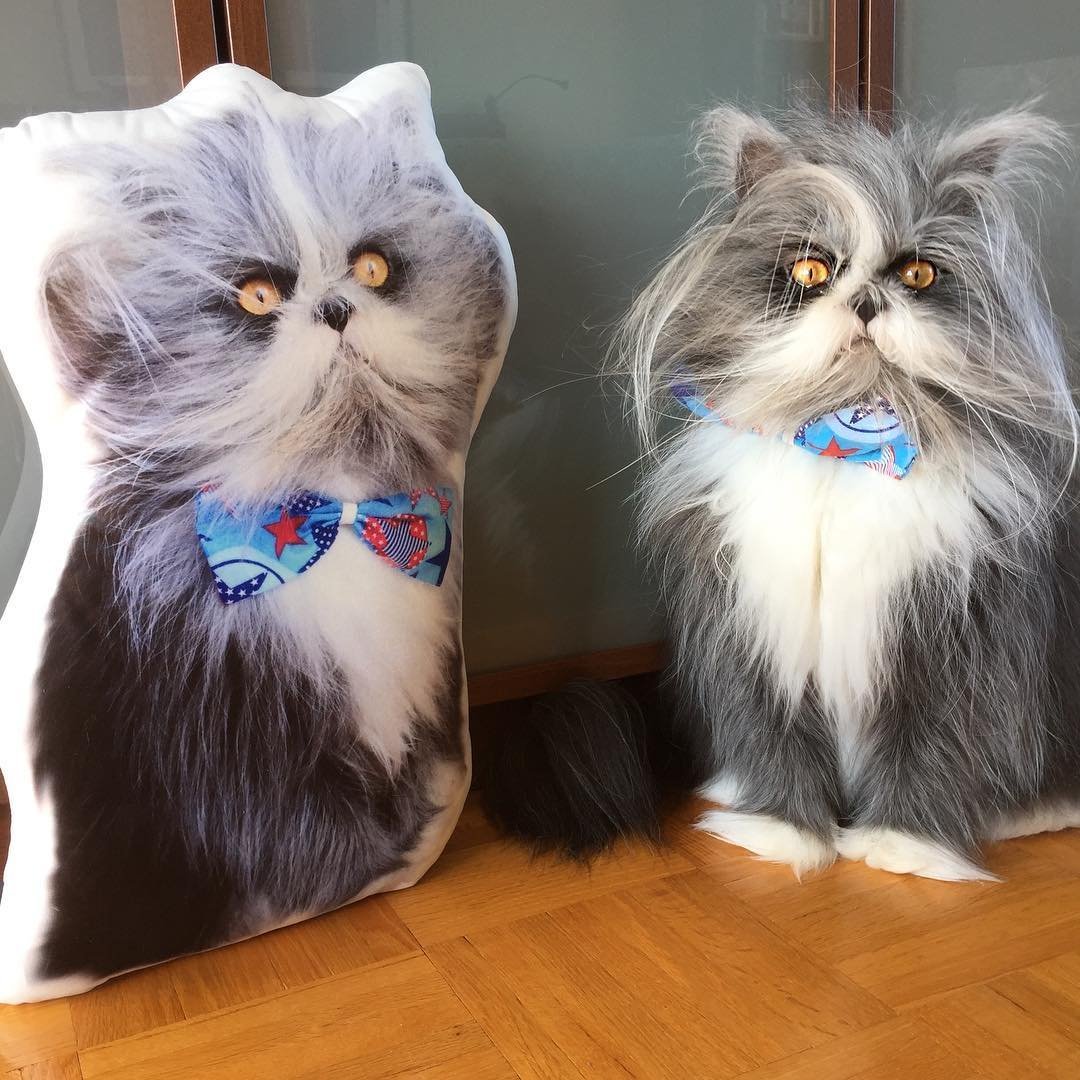 Атчум порода